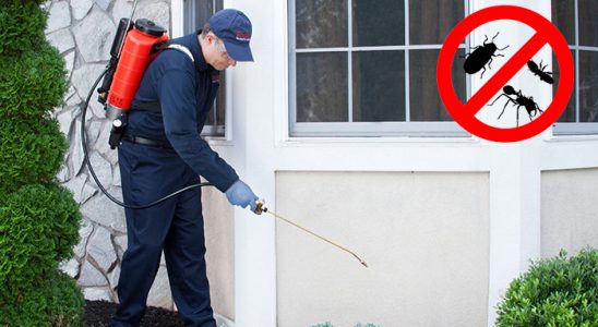 Lalapaşa Hamam Böceği İlaçlama böcek ilaçlama ve haşere kontrolü — ilaclama-tr.com